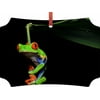 Climbing Tree Frog  - Jacks Outlet TM Berlin-Shaped Double-Sided Aluminum Hanging Holiday Tree Ornament Made in the U.S.A.