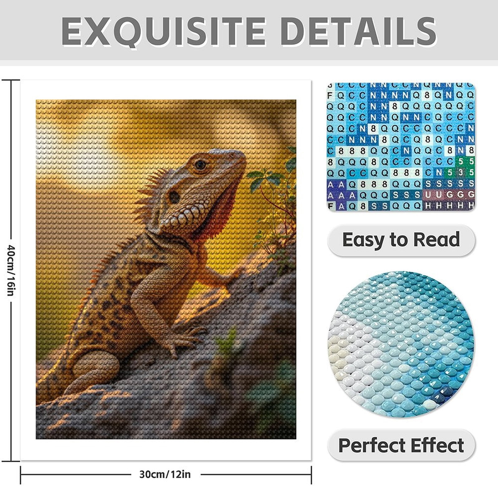 Diamond Art Kits for Adults - 5d Sunset Lizard On Rock Diamond Painting for Adults, Diamond Art for Adults Beginners, Diamond Painting Kits for Adults for Home Wall Decor