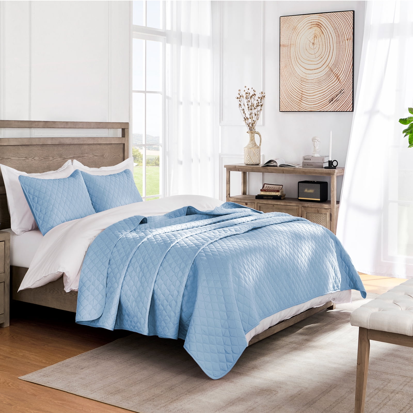 Exclusivo Mezcla Twin Quilt Set, 2-Piece Lightweight Twin Quilts Soft Bedspreads Bed Coverlets, Sky Blue, 68"x88"