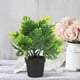 thumbnail image 4 of unbranded Planta Decorativa Monstera Artificial Para Estantería Y, 4 of 5