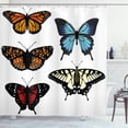thumbnail image 1 of Ambesonne Colorful Shower Curtain, Monarch Wings Abstract, 69"Wx84"L, Multicolor, 1 of 3