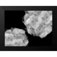 thumbnail image 2 of Christensen, Jim 24x19 Black Modern Framed Museum Art Print Titled - Hydrangea, 2 of 5