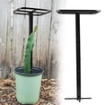 thumbnail image 5 of Bgsha Dragon Fruit Trellis: Versatile Metal Support for Climbing Plants 12 x 12 x 50in, 5 of 5