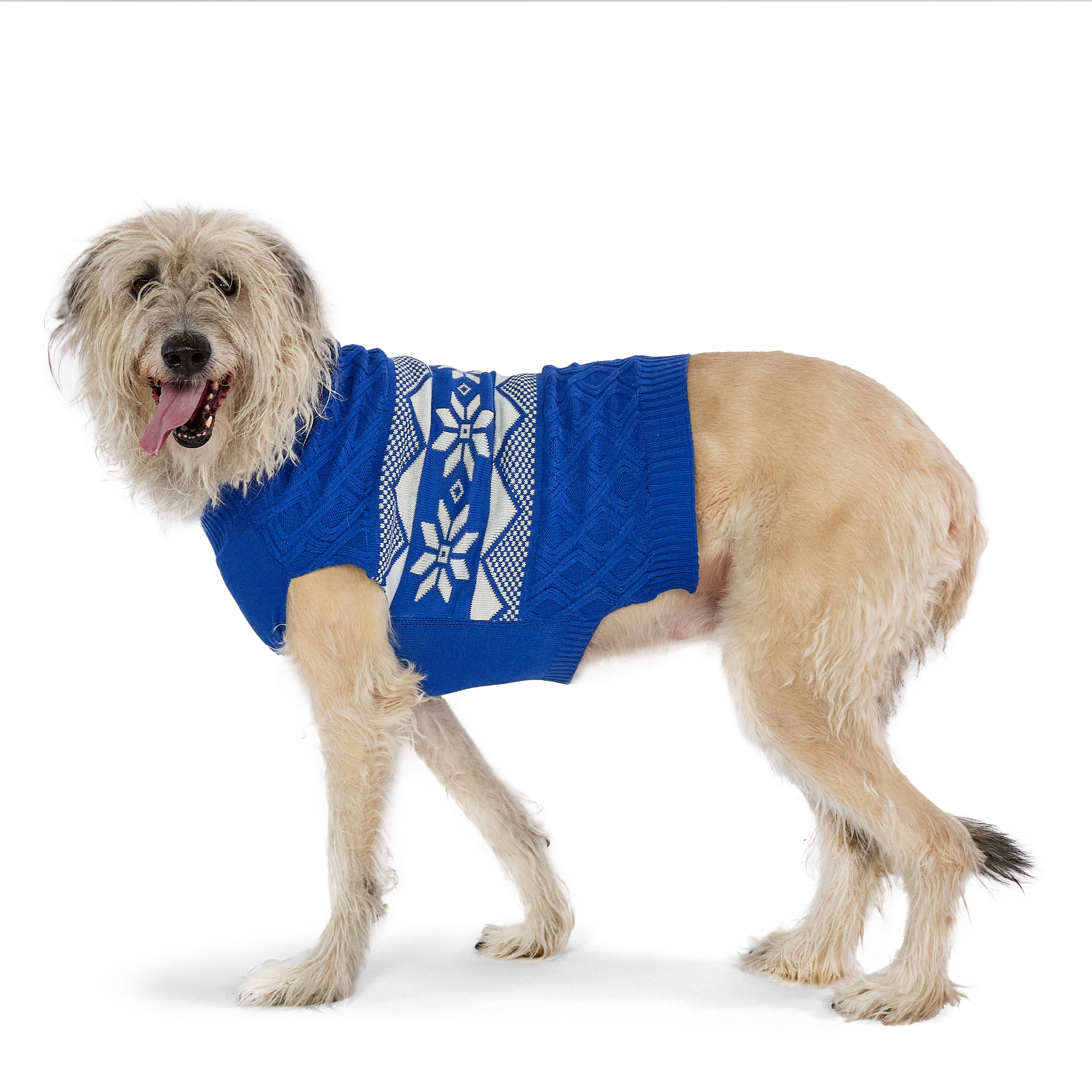 Vibrant Life Holiday Pet Sweater for Dogs, Snowflakes, Blue, Extra Large