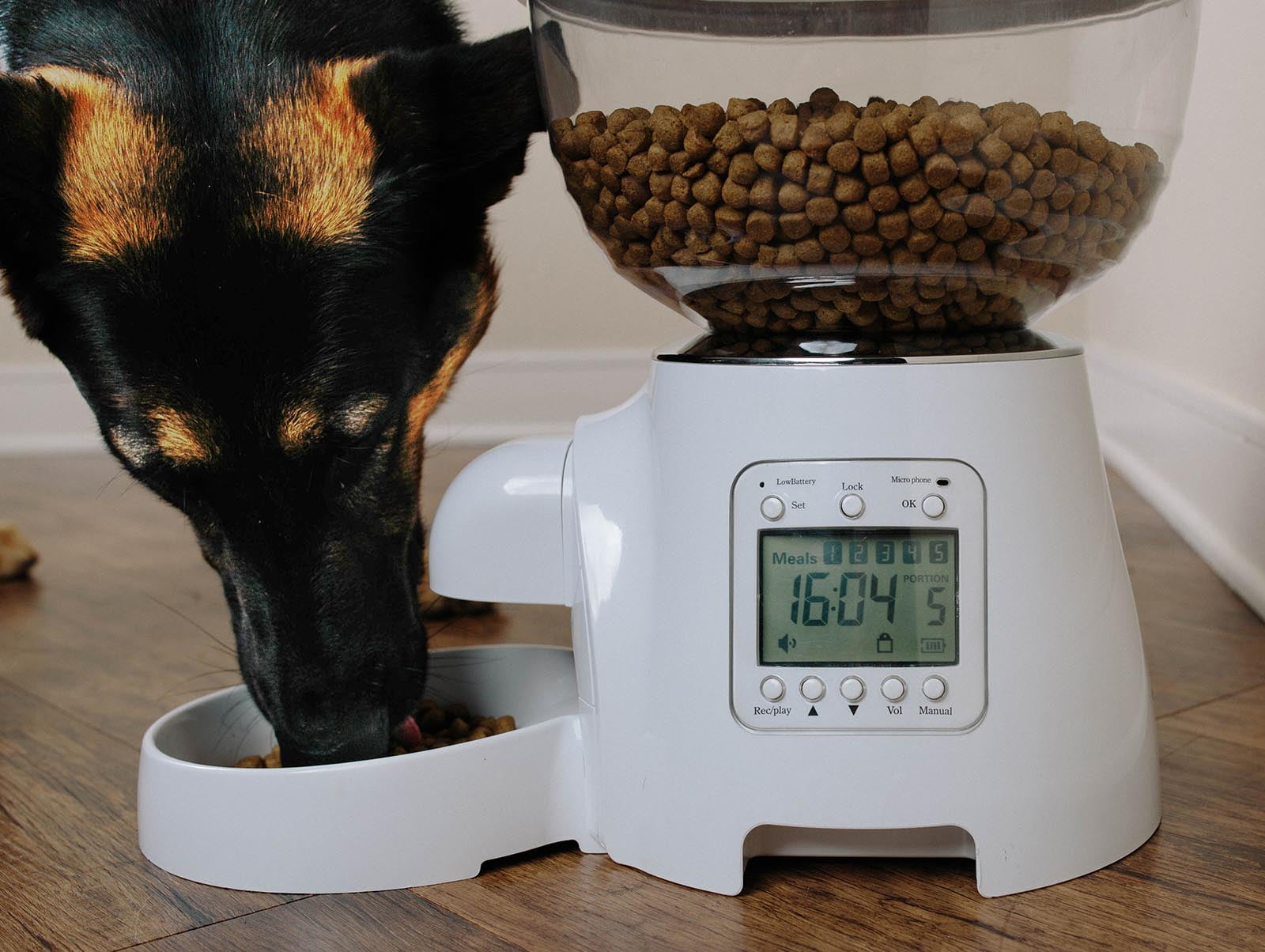 Paws Pals Paws Pals Automatic Pet Dog Cat Feeder Food Bowl