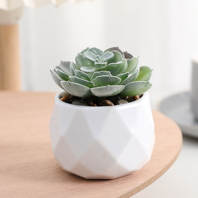 Xiao Hua 3 plantas artificiales en maceta, pequeñas plantas falsas en maceta, miniplantas artificiales de escritorio para interior, granja, oficina, mesa, estante, decoración de baño (A52)