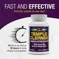 Temple Cleanse Magnesium Oxygen Based Colon Cleanse Detox Relieves