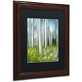 thumbnail image 2 of Trademark Fine Art "Aspen Impression" Canvas Art by Michael Blanchette Photography Black Matte, Wood Frame, 2 of 4