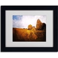 thumbnail image 2 of Trademark Fine Art "Light in Vineyards" Canvas Art by Philippe Sainte-Laudy, Black Frame, 2 of 3
