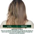 thumbnail image 4 of Tinte para cabello Nutrisse Oleos sin amoniaco 8.12 rubio claro platinado, 4 of 6