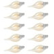 thumbnail image 1 of Bombillas De Vela De Filamento Bombillas LED Para Lámpara De Araña, 10 Piezas Bombillas De Vela De Filamento 2700 K Cálido Para Lámpara De Araña Apliques De Pared Para, 1 of 7