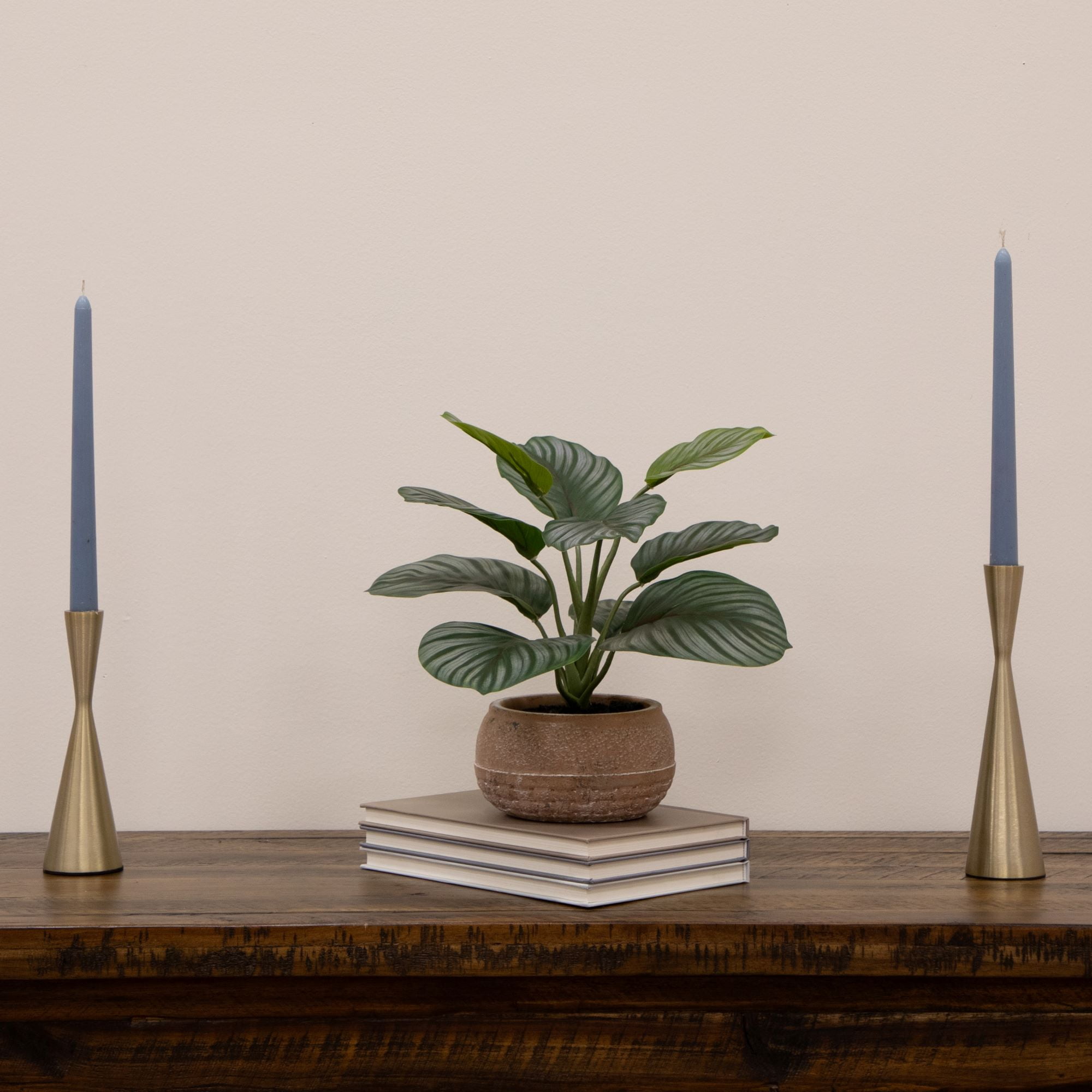 Better Homes & Gardens Artificial Indoor Calathea Plant in Stone Planter