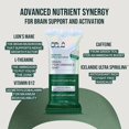 thumbnail image 4 of BRAIN PERFORMANCE BAR – Vegan Protein Bars for Brain & Energy Support – Focus & Memory, Pre & Post Workout Recovery – Gluten Free Snack with L-Theanine, Lions Mane, Spirulina & More (12 Bars, 4 of 5