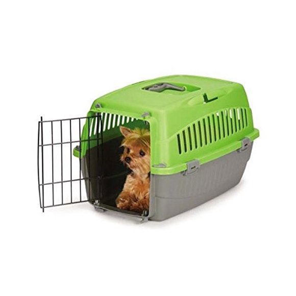 Cruising Companion Petit Chien Chat Animal de Compagnie Voyage Crate Transporteur Léger pour Animal de Compagnie Chenil en Plastique et en Fil Métallique Cab (Petit Kiwi)