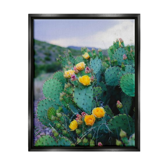 Stupell Industries Vivid Cactus Blossoms Photograph Jet Black Floating Framed Canvas Print Wall Art, Design by Sonja Quintero
