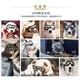 thumbnail image 5 of Gafas de sol para perros, anti-UV, impermeables, resistentes al viento, protección ocular para perros medianos y grandes, gafas de natación, 5 of 5