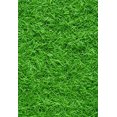 thumbnail image 3 of Telón de fondo Fotografía 150x220cm ABPHQTO Campo de hierba verde Primavera Animación Paisaje artístico para Niños, 3 of 3