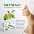 thumbnail image 3 of Chamuel Tea Tree Body Wash - Hecho con ingredientes naturales para combatir la picazón en la piel, el olor corporal, el pie de atleta, la picazón y los problemas de las uñas de los pies - Perfumado or, 3 of 5