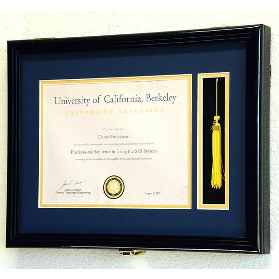 Graduation Diploma and Tassel Frame Display Case 11 x 8.5 w/Custom Matting (Black Finish)