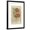 Black Frame, variant on Art.com Floral Pattern Study I Art Print by Ethan Harper, 12" x 18"