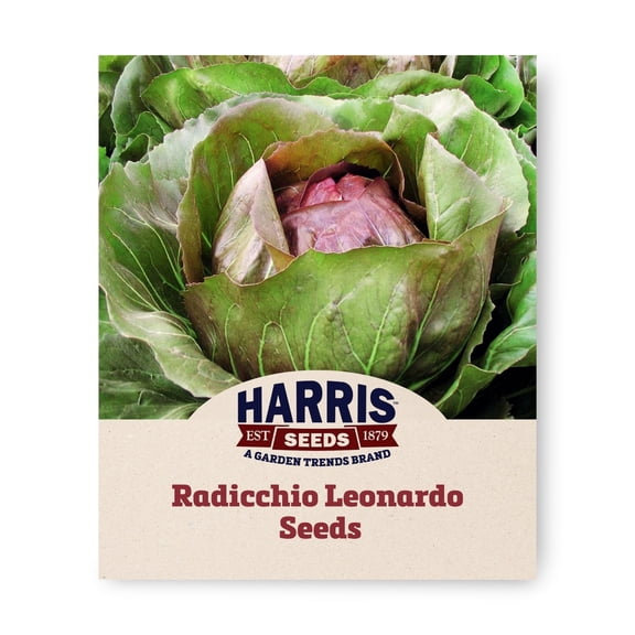 Harris Seeds Radicchio Leonardo F1, Red Leaf Italian Chicory, Organic, 50 Count