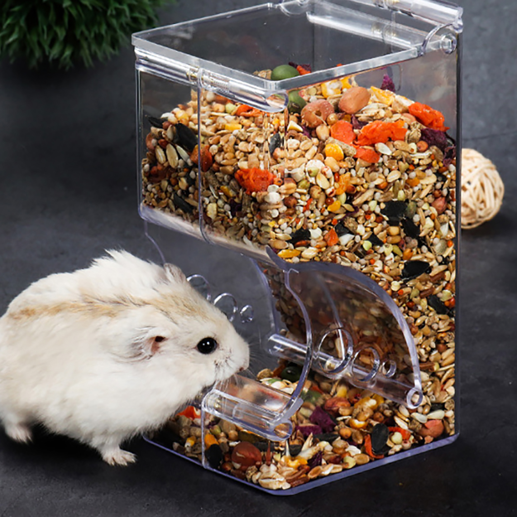 Hamster Food Feeder Clear Refillable Hamster Food Dispenser Hamster