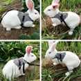 thumbnail image 5 of Fashinable Comfortable Rabbit Suit Harness Leash Cute Bunny Vest Harness and Leash Set With Button Decor for Small Animals Bunny Cats M, 5 of 9