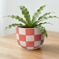 thumbnail image 2 of Mainstays Lennon 6" x 6" x 4.5" Round Coral Pink Checkered Ceramic Planter, 2 of 8