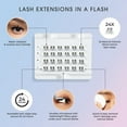 thumbnail image 4 of KISS FALSCARA Lash Extension Kit, Natural Wispy, Black, 24 Lash Clusters, 4 of 13