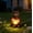 Brown Bear, variant on Garden Statue Turtle Green Solar LED Succulent Outdoor Decor