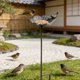 thumbnail image 4 of Comedero para pájaros de hierro forjado con diseño de flores y aves, adorno de jardín exterior resistente al óxido y estación de alimentación, 79 cm de largo, 4 of 7