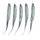 thumbnail image 1 of 5Pcs Silicone Artificial Simulation Soft Fish Shape Lure Bait Fishing Tackle for Fresh Waterblue \n\nleopard, 1 of 4