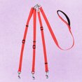 thumbnail image 4 of Nylon Tricephalous Dog Training Leash Heavy Duty Durable Walking Lead for Small and Medium Dogs (Red), 4 of 7