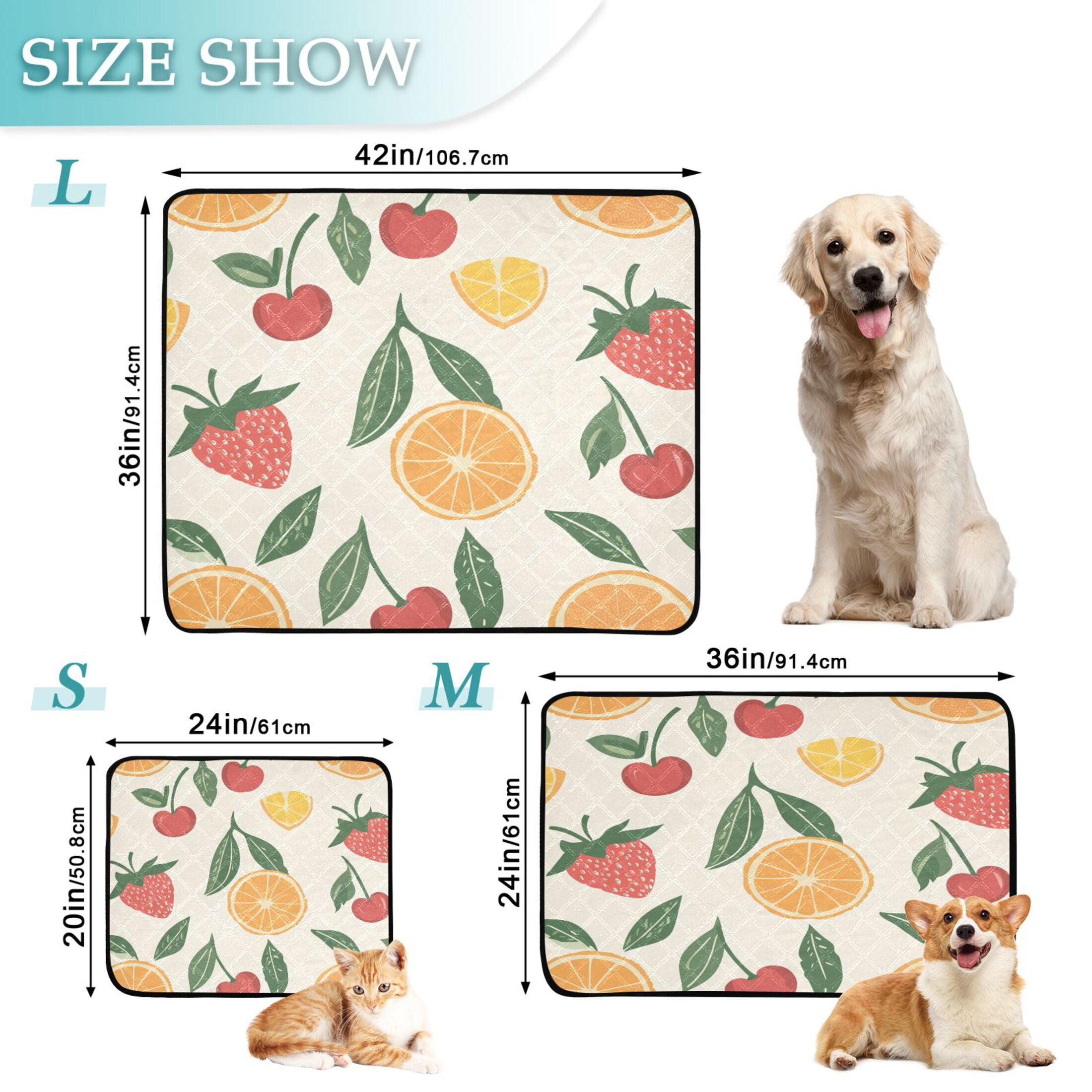 Qxltty Strawberries and Oranges on A Pastel Background Cat litter Pads Pet Set of 3 Diaper Mats Center Anti-leakage Layer Absorbent Soft and Comfortable