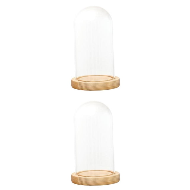 Cúpulas De Visualización De Vidrio Transparente De 2 Piezas Con Soporte De Micropaisaje Con Base De Madera LED SM SunniMix Cúpula transparente con base de madera