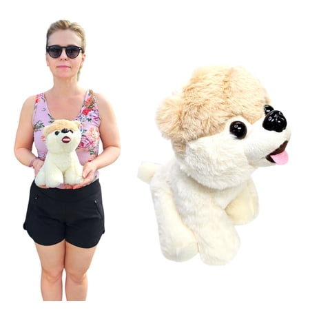 Pomeranian Sitting Plush (10 Inch) Stuffed Animal Puppy with Hard Eyes Cute Design