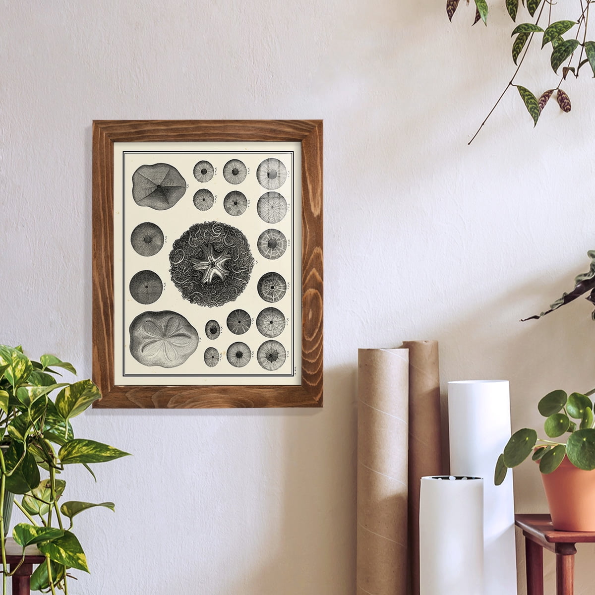 Aegean Collection I -Framed Print w/glass-Walnut