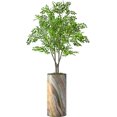 thumbnail image 4 of Artificial Tree in Modern Contemporary Planter, Fake Boxwood Silk Tree for Indoor and Outdoor Home Decoration - 70" Overall Tall (Plant Pot Plus Tree), 4 of 5
