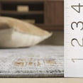 thumbnail image 4 of Safavieh Heirloom Emely Oriental Polyester Runner Rug, Ivory Gray/Rust, 2' x 8', 4 of 10