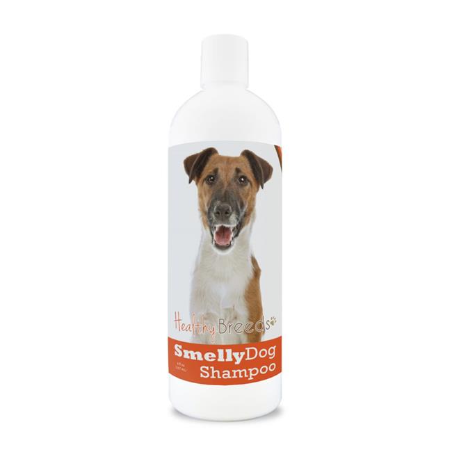 are terriers smelly dogs