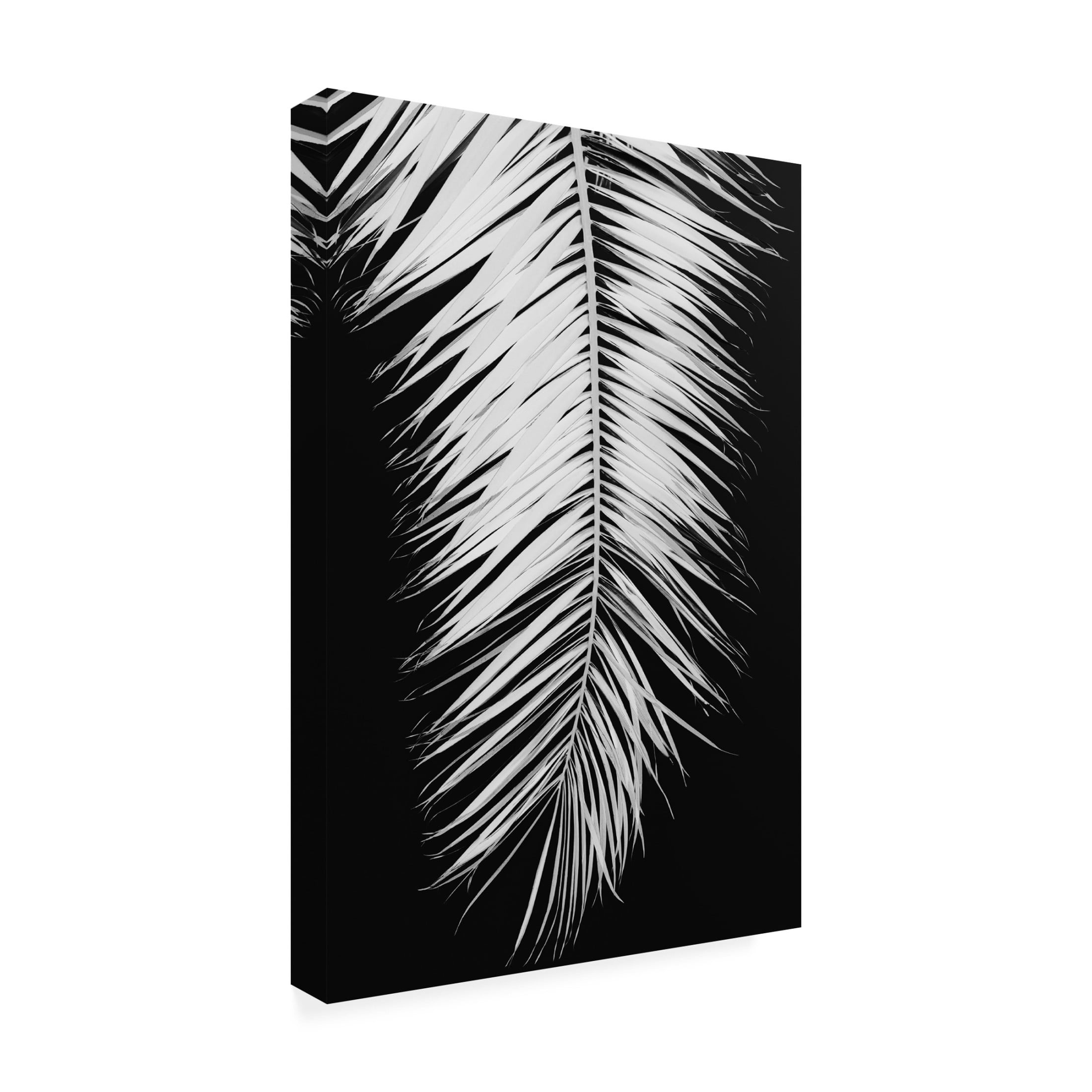 Pictufy Studio III 'Palmblad 4' Canvas Art - 22 x 32 Inches