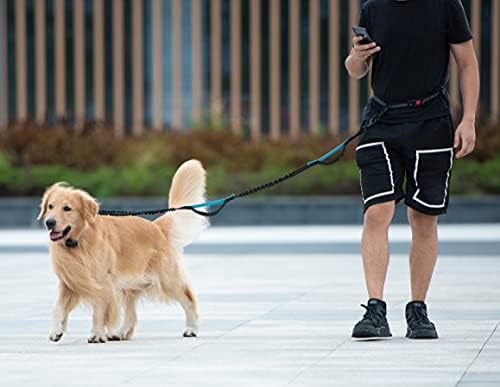 Hands Free Dog Leash with Zipper Pouch, Dual Padded Handles and Durable Bungee for Walking, Jogging and Running Your Dog (Large, 25-120 lbs, Military Green)
