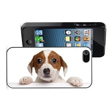 Cute Jack Russell Terrier Running Dog iPhone 11 case Cute Jack Russell Terrier Running Dog iPhone 11 case
