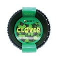 thumbnail image 2 of Buzzy Seeds Lucky Clover Indoor Gardening Grow Kit in Black Decorative Pot, 2 of 3