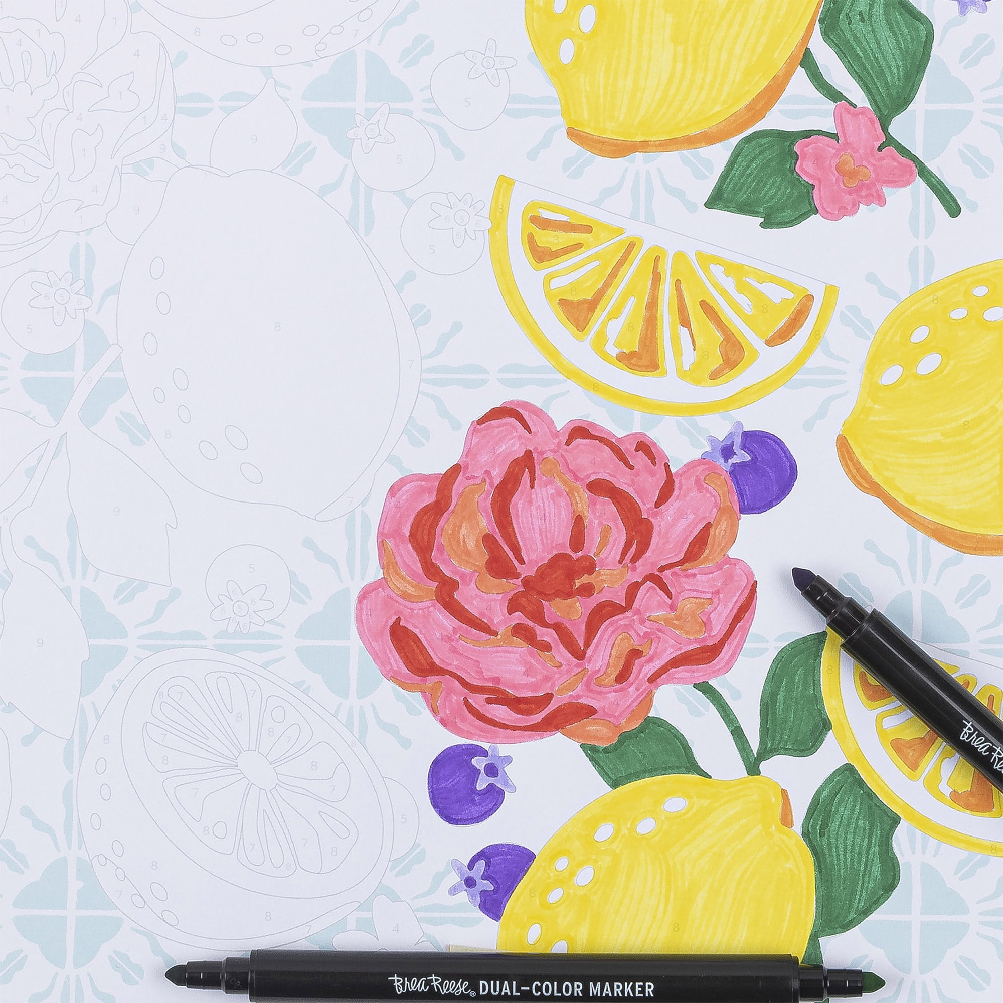 Brea Reese: Marker Color-by-Number Kit - Fruit & Floral - 5 Dual-Tip Markers, 12 Bright Designs, Guided Art, 8.5 x 9.75" Pages, Adult Spiral Art Pad