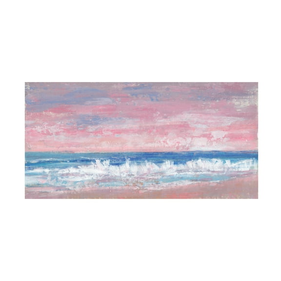 Tim OToole 'Coastal Pink Horizon II' Canvas Art