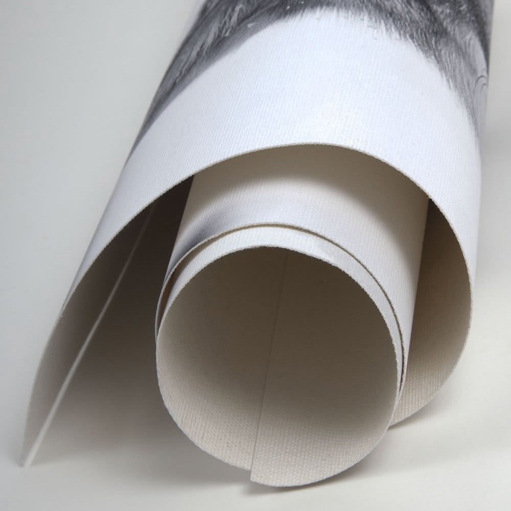 Jerry Lofaro "Wild World" Gallery-Wrapped Canvas