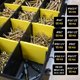 thumbnail image 2 of Kit surtido de tornillos para madera Phillips Velocity, 1225 piezas, 2 of 7
