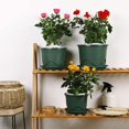 thumbnail image 5 of 5 Pieces Plastic Flower Pots, 16cm Thicken Flower Pot Root Control Seedling Planter Nursery Garden Decorative Plant Container (Green), 5 of 5