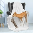 thumbnail image 4 of Dog Soft Flannel Fleece Throw Blanket, Kitten Playing with Stafford Puppy Animal Friendship Domestic Pet Lover Print, Cozy Plush for Indoor and Outdoor Use, 70" x 90", Oange Brown White, by Ambesonne, 4 of 5